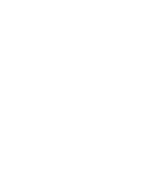 Grêmio FBPA