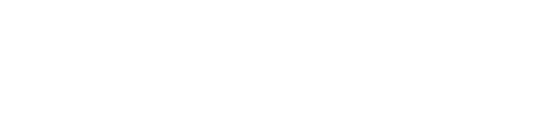 Grupo Voalle